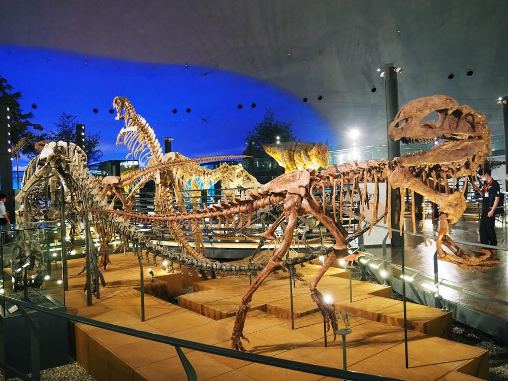 【福井縣】福井縣立恐龍博物館 :返回12,000萬年前,與恐 【福井縣】福井縣立恐龍博物館 :返回12,000萬年前,與恐