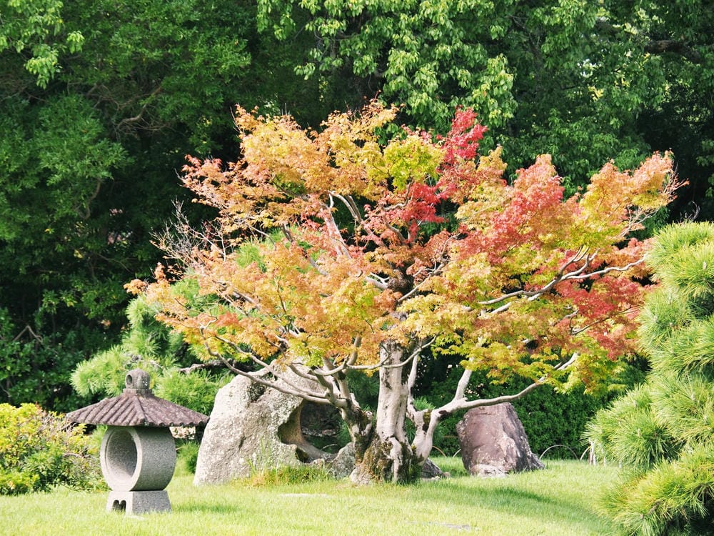 【岡山縣 | 5天4夜】搭台灣虎航桃園、高雄到岡山,走訪縣北 【岡山縣 | 5天4夜】搭台灣虎航桃園、高雄到岡山,走訪縣北