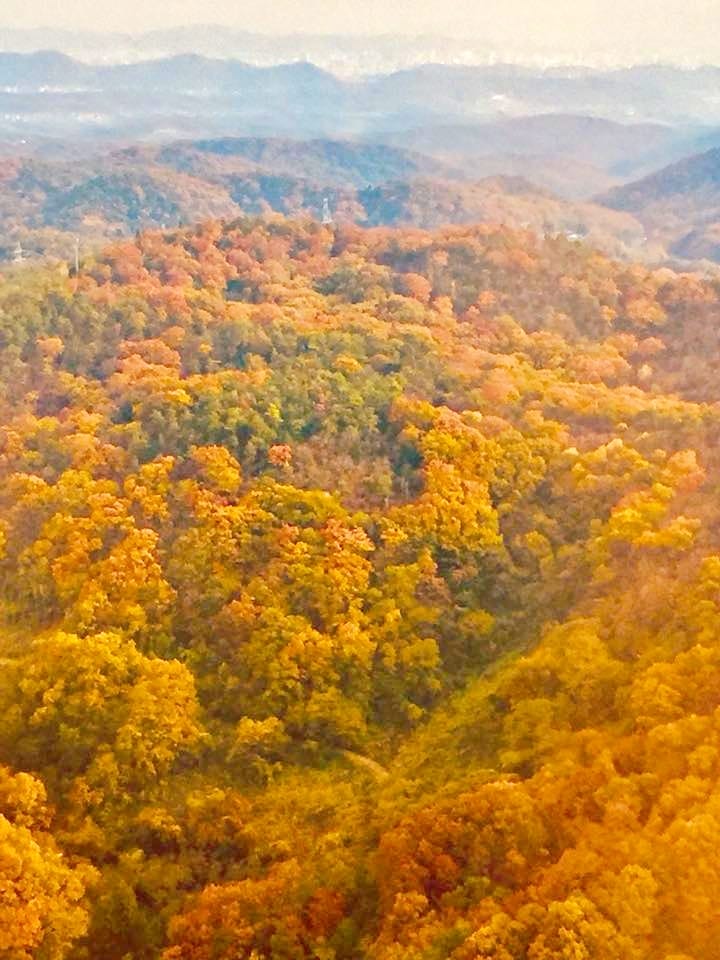 【岡山縣 | 5天4夜】搭台灣虎航桃園、高雄到岡山,走訪縣北 【岡山縣 | 5天4夜】搭台灣虎航桃園、高雄到岡山,走訪縣北