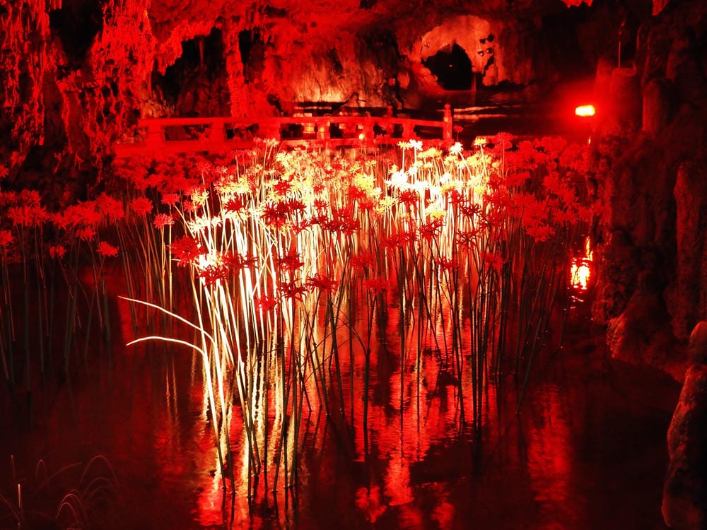 【岡山縣 | 5天4夜】搭台灣虎航桃園、高雄到岡山,走訪縣北 【岡山縣 | 5天4夜】搭台灣虎航桃園、高雄到岡山,走訪縣北