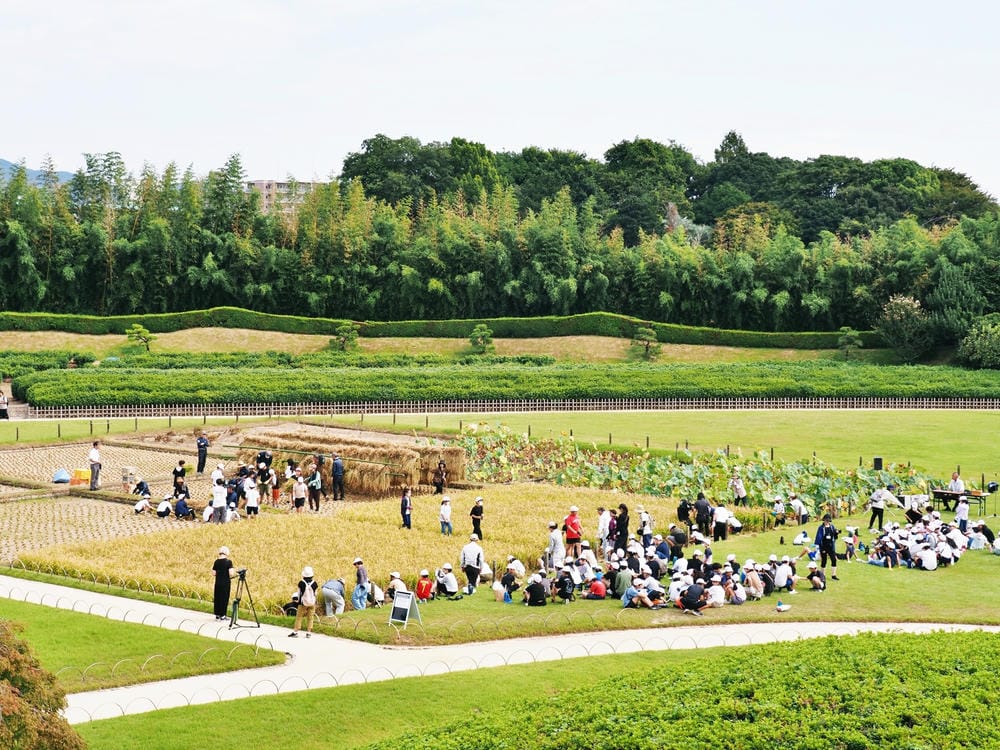 【岡山縣 | 5天4夜】搭台灣虎航桃園、高雄到岡山,走訪縣北 【岡山縣 | 5天4夜】搭台灣虎航桃園、高雄到岡山,走訪縣北
