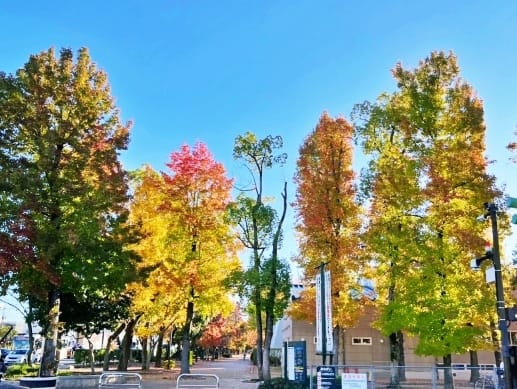 【岡山縣 | 5天4夜】搭台灣虎航桃園、高雄到岡山,走訪縣北 【岡山縣 | 5天4夜】搭台灣虎航桃園、高雄到岡山,走訪縣北