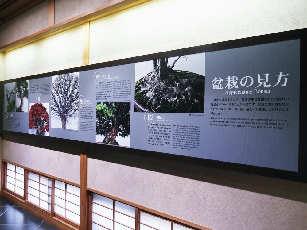 【埼玉市】大宮盆栽美術館:走進一方天地裡的自然微觀之美、體驗 【埼玉市】大宮盆栽美術館:走進一方天地裡的自然微觀之美、體驗