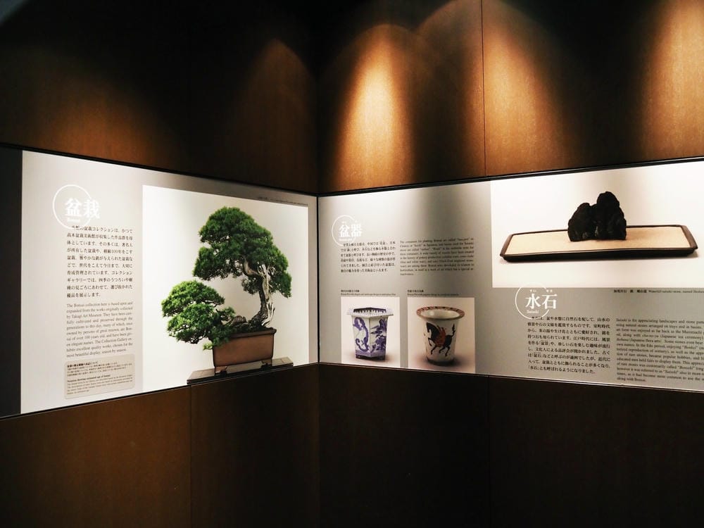【埼玉市】大宮盆栽美術館:走進一方天地裡的自然微觀之美、體驗 【埼玉市】大宮盆栽美術館:走進一方天地裡的自然微觀之美、體驗