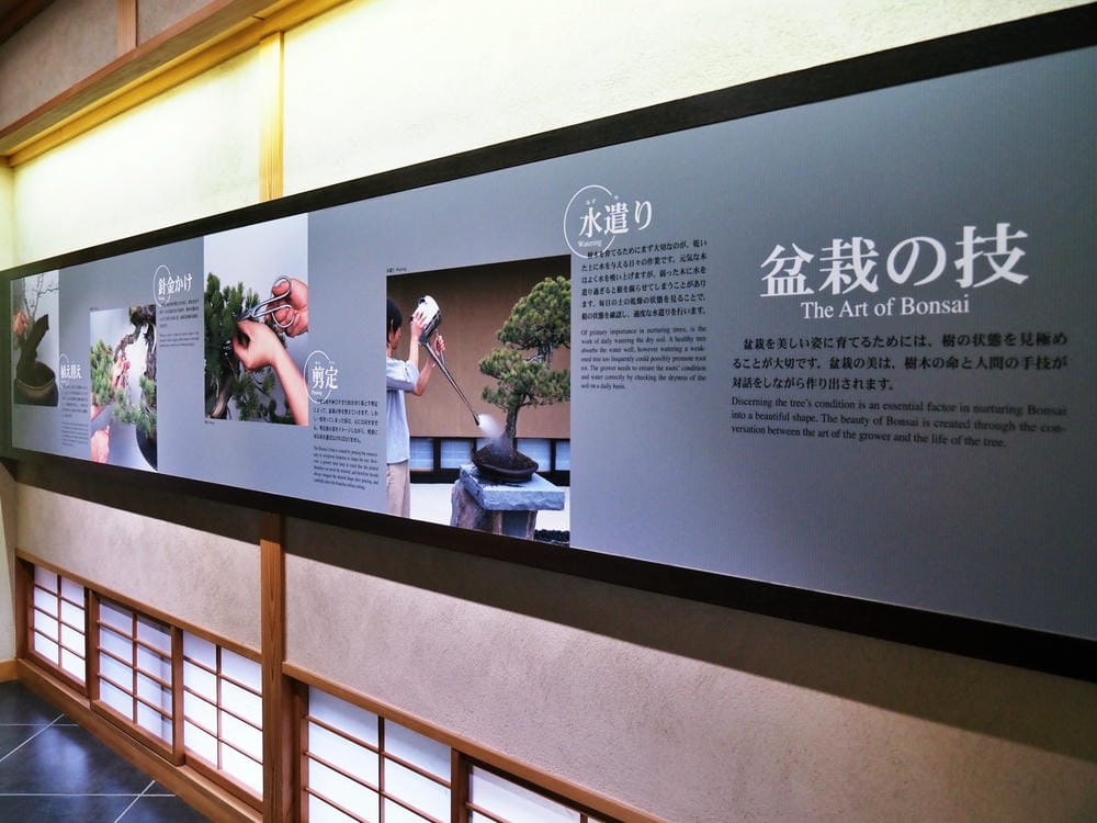 【埼玉市】大宮盆栽美術館:走進一方天地裡的自然微觀之美、體驗 【埼玉市】大宮盆栽美術館:走進一方天地裡的自然微觀之美、體驗
