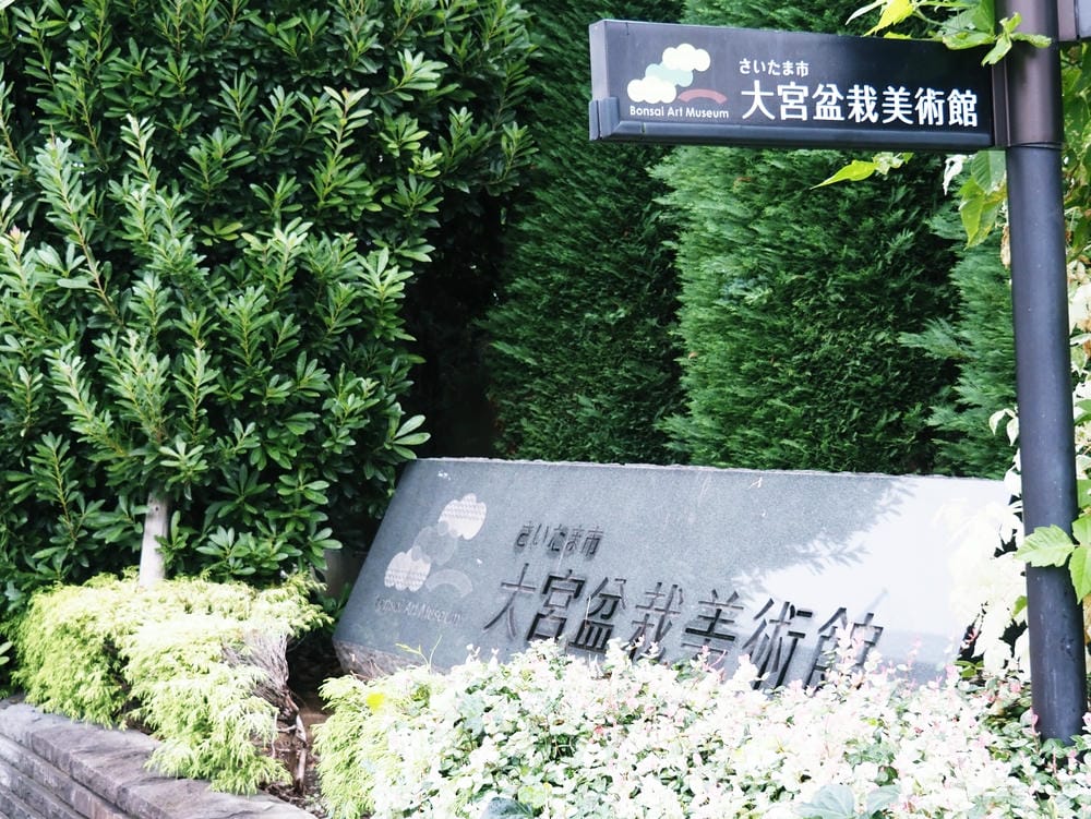 【埼玉市】大宮盆栽美術館:走進一方天地裡的自然微觀之美、體驗 【埼玉市】大宮盆栽美術館:走進一方天地裡的自然微觀之美、體驗