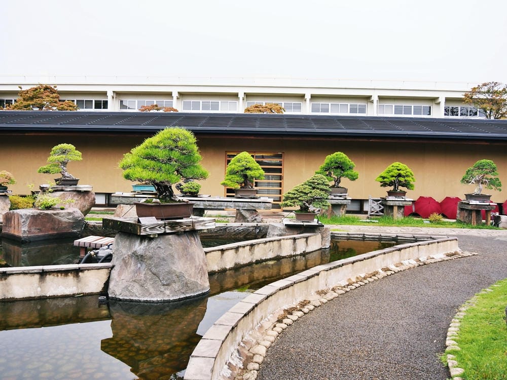 【埼玉市】大宮盆栽美術館:走進一方天地裡的自然微觀之美、體驗 【埼玉市】大宮盆栽美術館:走進一方天地裡的自然微觀之美、體驗