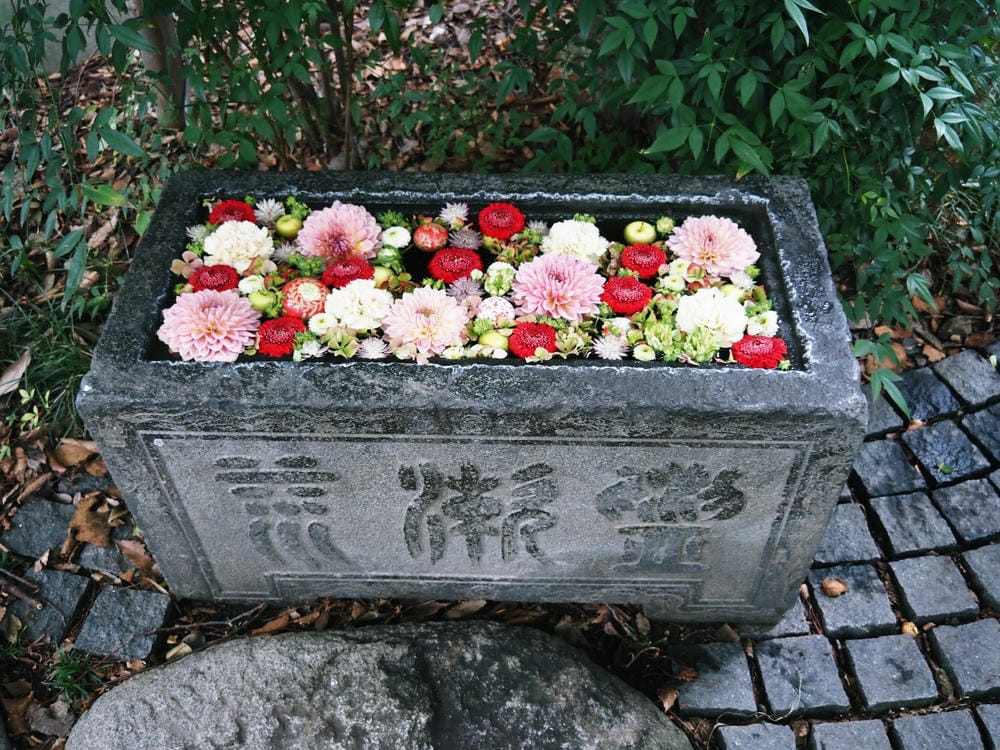 【埼玉 | 行田市】跟著「陸王」走訪足袋之里，來場懷舊與時尚