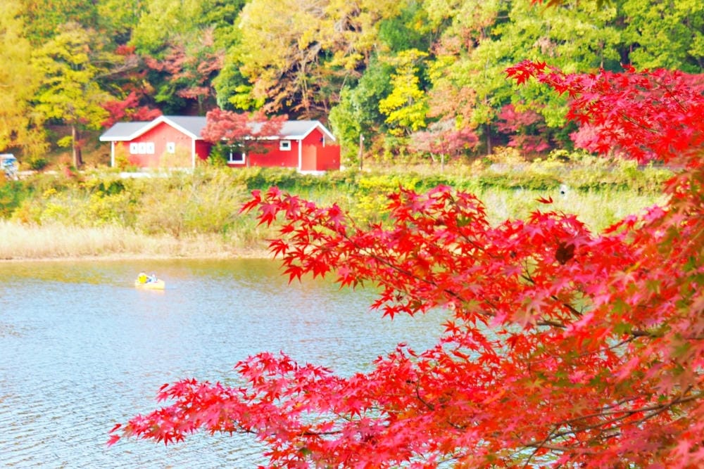 【埼玉縣 | 飯能市】嚕嚕米主題樂園【Metsä Villa