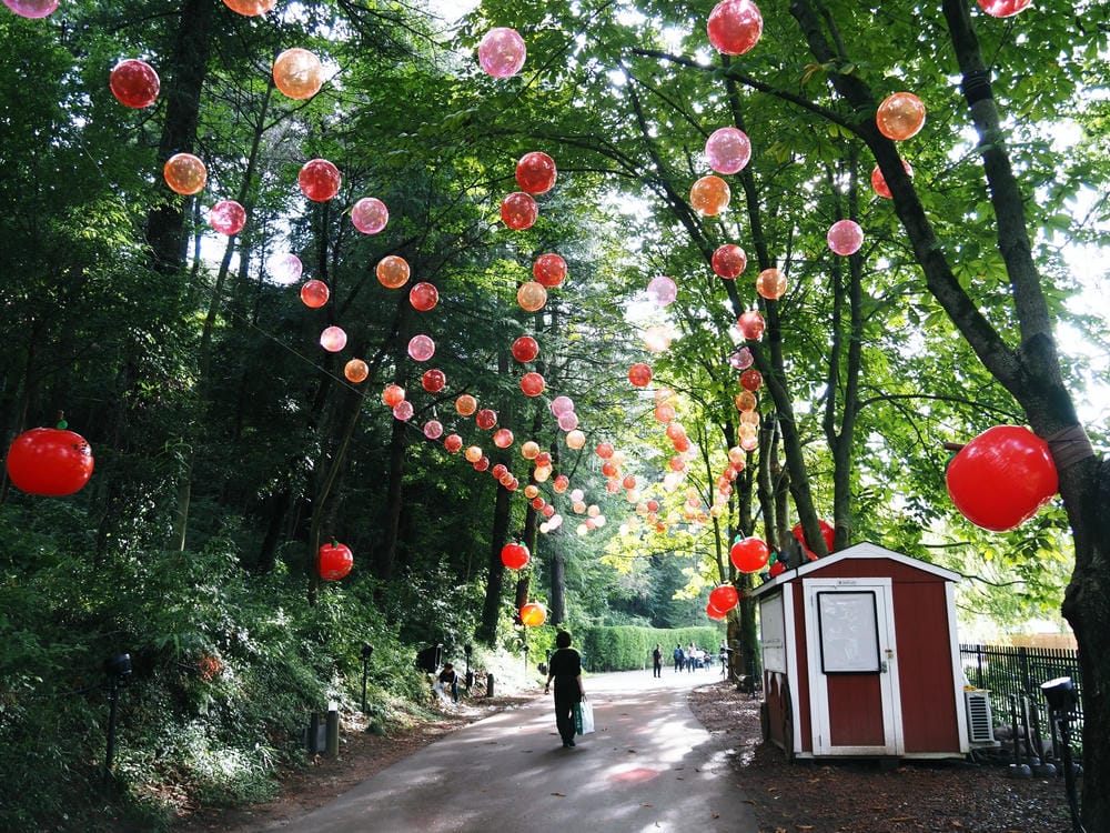 【埼玉縣 | 飯能市】嚕嚕米主題樂園【Metsä Villa
