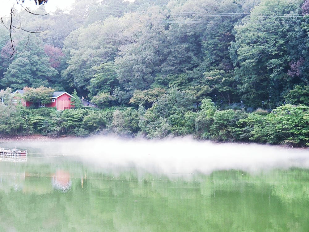 【埼玉縣 | 飯能市】嚕嚕米主題樂園【Metsä Villa