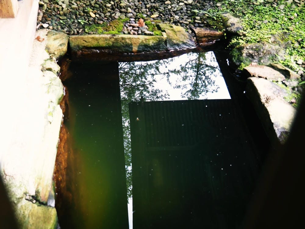【埼玉縣| 秩父地區】米其林一星「寶登山神社」參拜,再來趟刺 【埼玉縣| 秩父地區】米其林一星「寶登山神社」參拜,再來趟刺