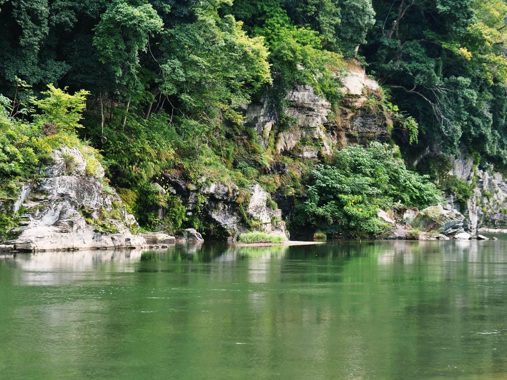 【埼玉縣| 秩父地區】米其林一星「寶登山神社」參拜,再來趟刺 【埼玉縣| 秩父地區】米其林一星「寶登山神社」參拜,再來趟刺