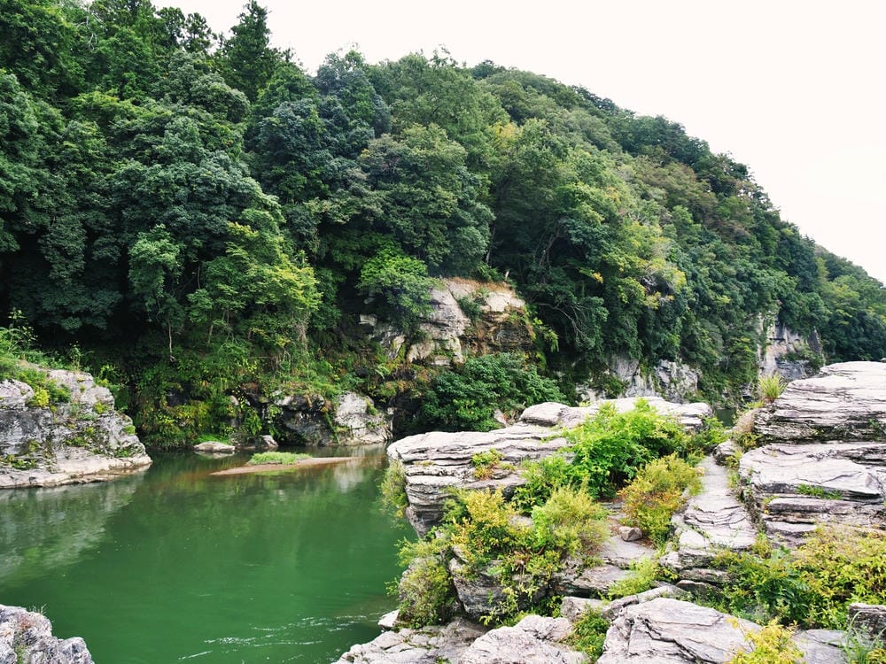 【埼玉縣| 秩父地區】米其林一星「寶登山神社」參拜,再來趟刺 【埼玉縣| 秩父地區】米其林一星「寶登山神社」參拜,再來趟刺