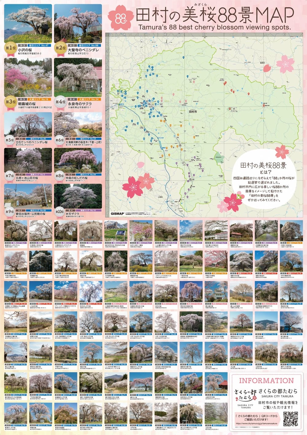 【福島縣｜田村市】田村美櫻88景，白天鐘乳洞探險，夜晚與閃爍