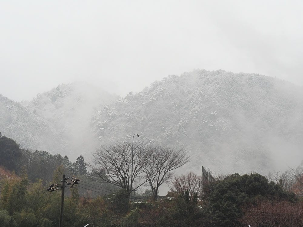 【愛媛縣｜道之駅 霧之森・霧之高原】一個大福救小鎮，茶香與地