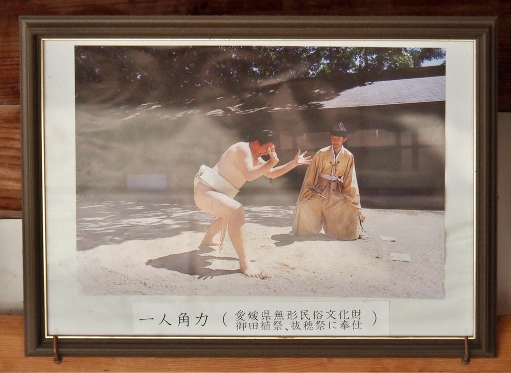【愛媛縣｜島波海道-大三島】愛媛最強能量地「大山祇神社」參拜