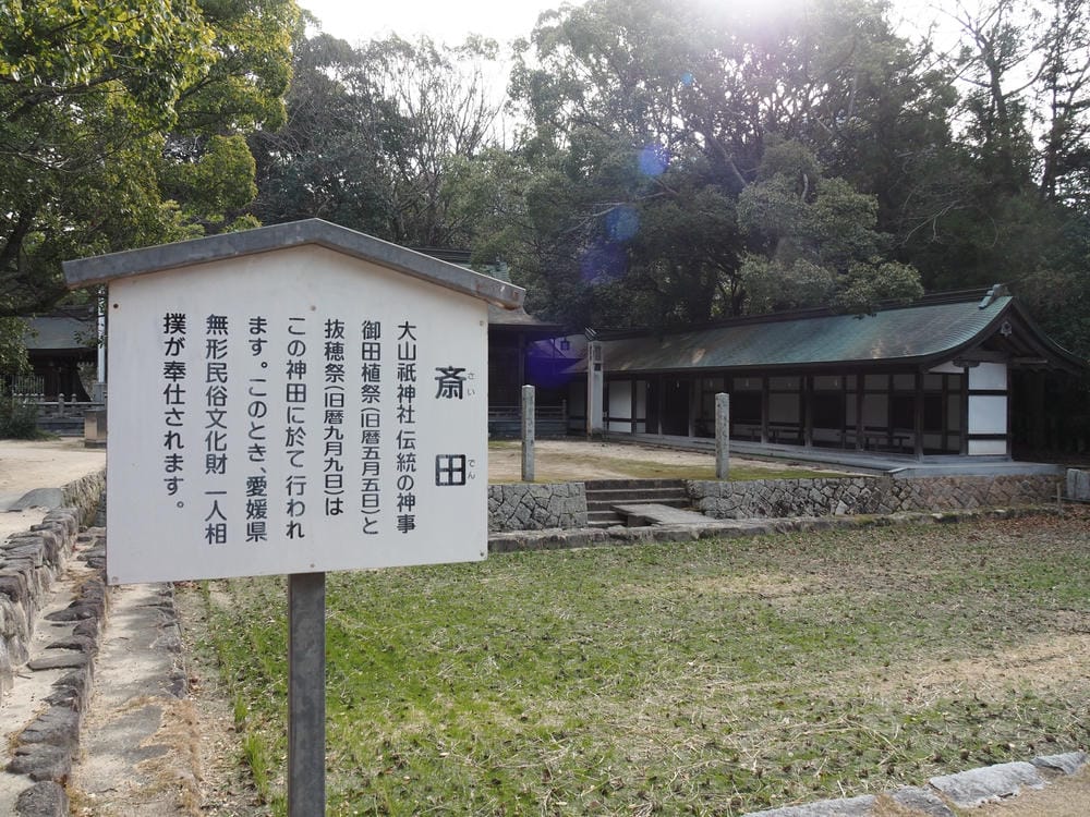 【愛媛縣｜島波海道-大三島】愛媛最強能量地「大山祇神社」參拜