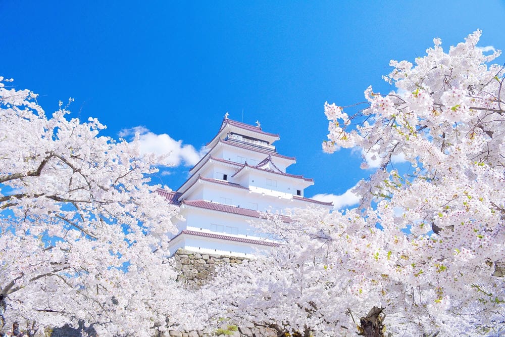 batch_鶴ヶ城(桜) batch_鶴ヶ城(桜)
