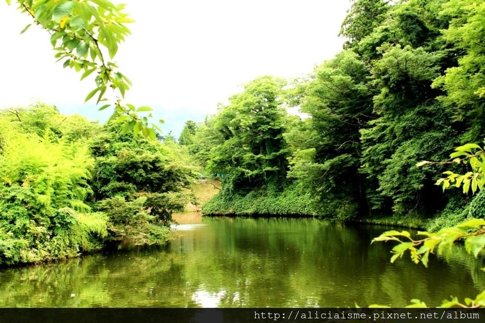 【福島縣｜會津若松】絕美「鶴城」～白鶴飛降之歷史戰亂名城，春
