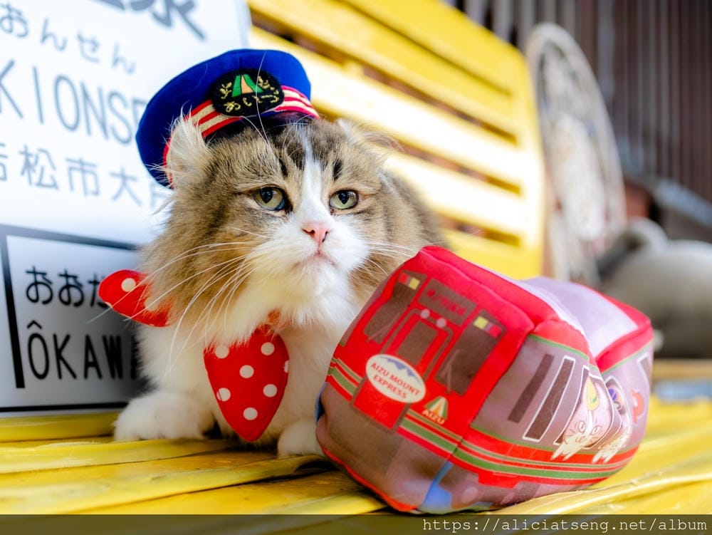 batch_ねこ駅長 batch_ねこ駅長