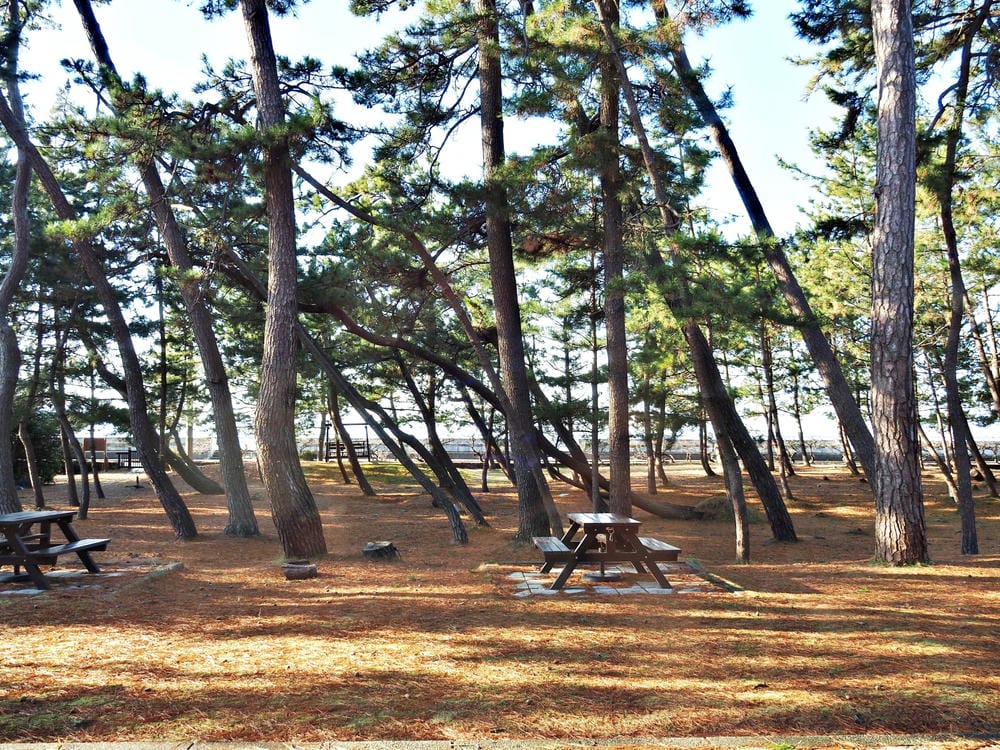 【新潟縣｜佐渡島住宿】RYOKAN浦島：建築大師內藤廣打造的