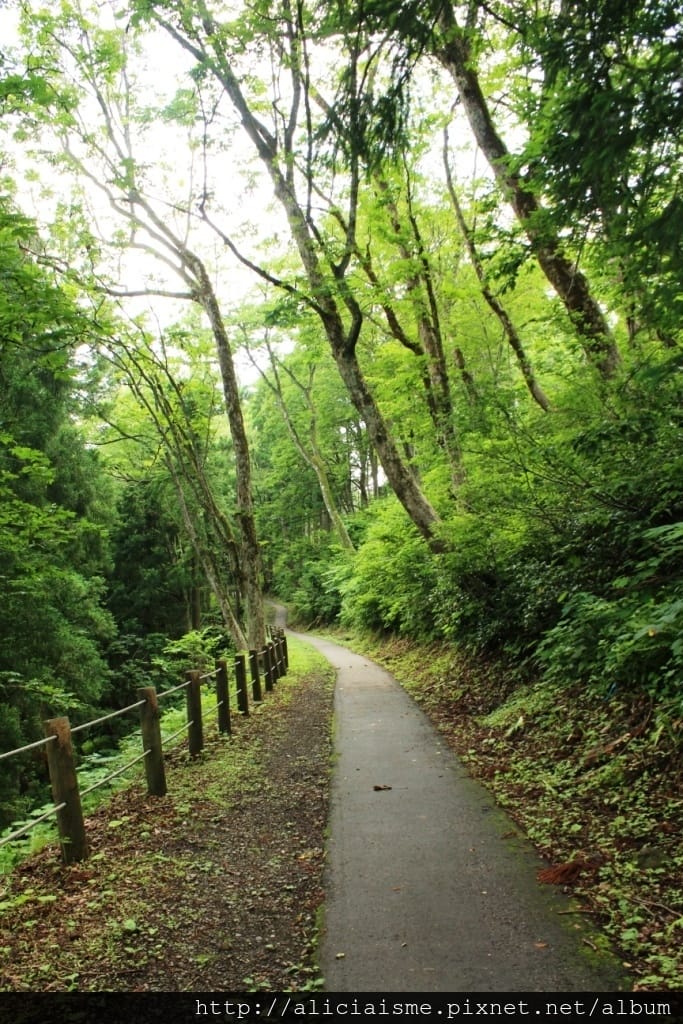 【富山縣】五箇山：相倉合掌村聚落～掉落人間的仙境