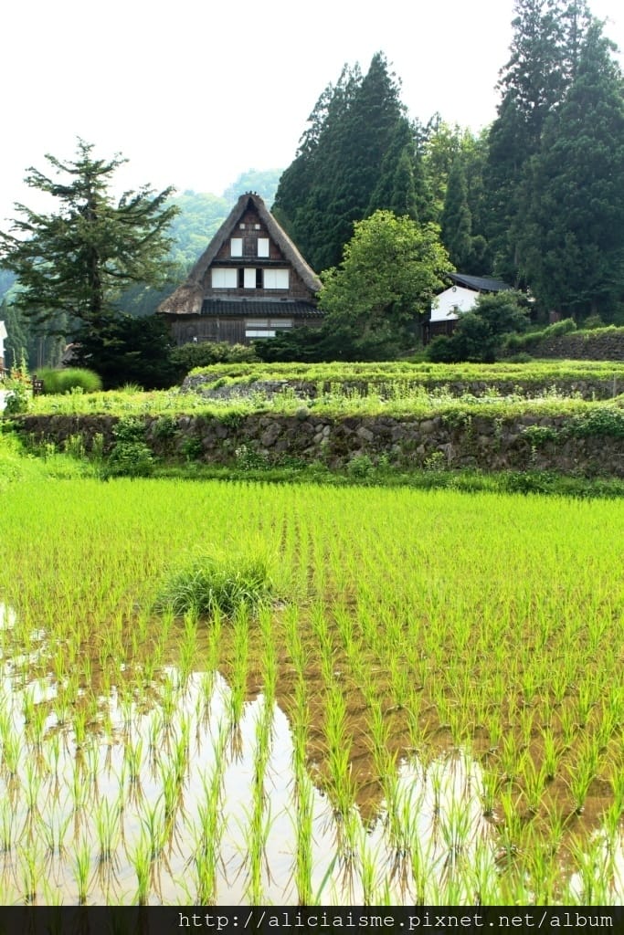 【富山縣】五箇山：相倉合掌村聚落～掉落人間的仙境