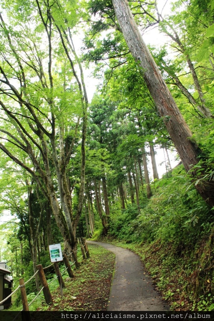 【富山縣】五箇山：相倉合掌村聚落～掉落人間的仙境