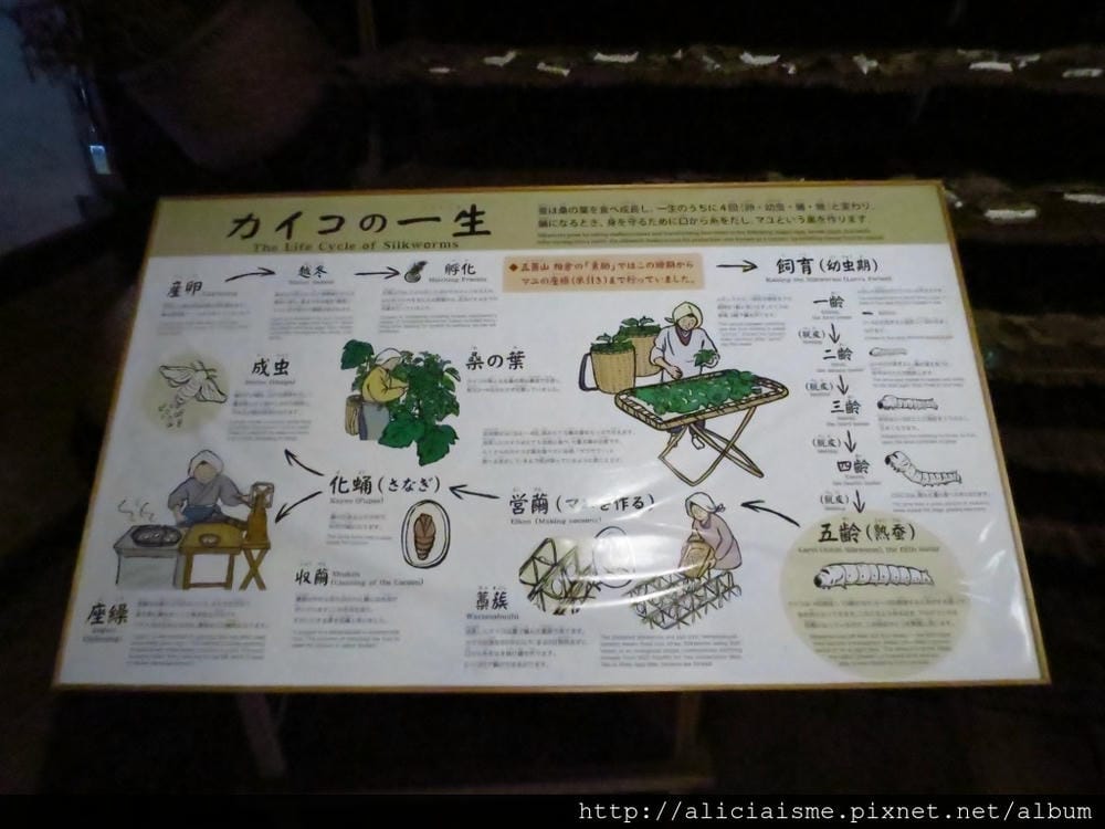 【富山縣】五箇山：相倉合掌村聚落～掉落人間的仙境