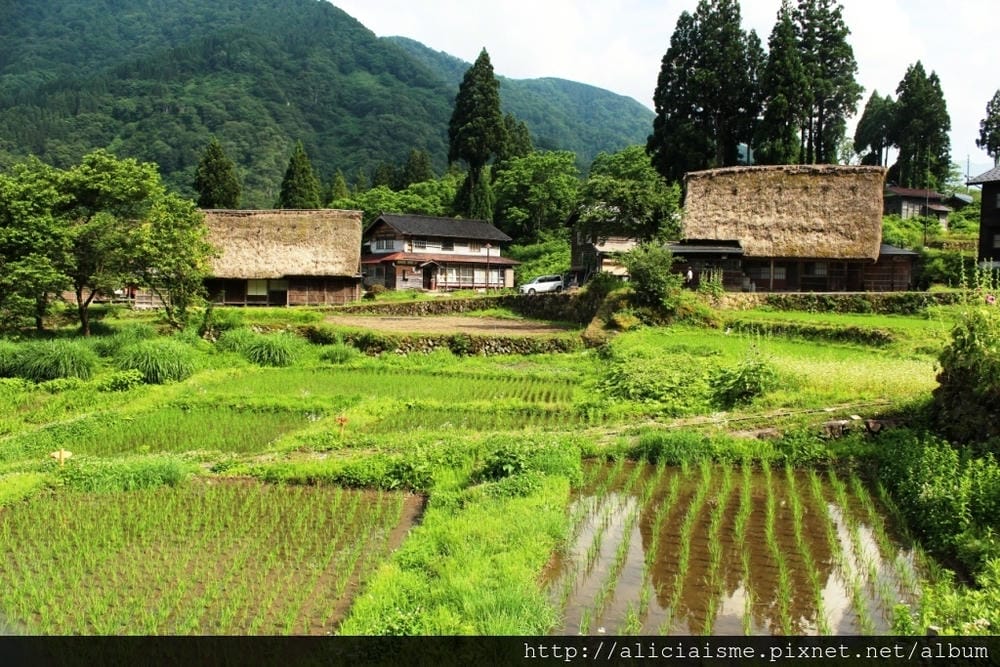 【富山縣】五箇山：相倉合掌村聚落～掉落人間的仙境