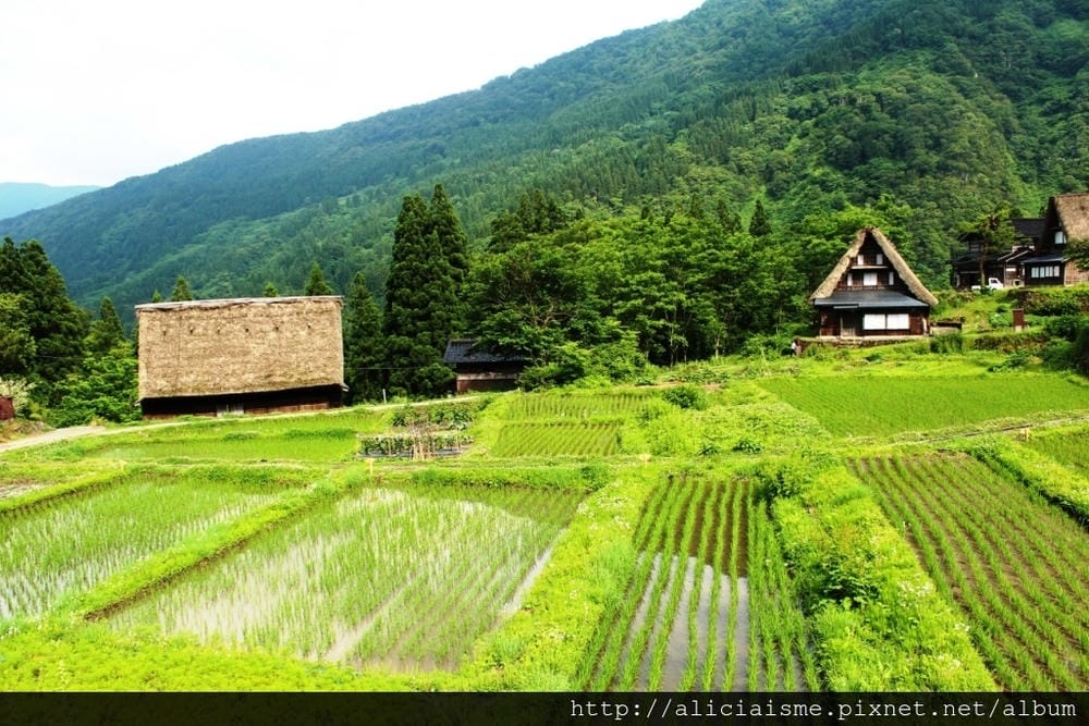 【富山縣】五箇山：相倉合掌村聚落～掉落人間的仙境