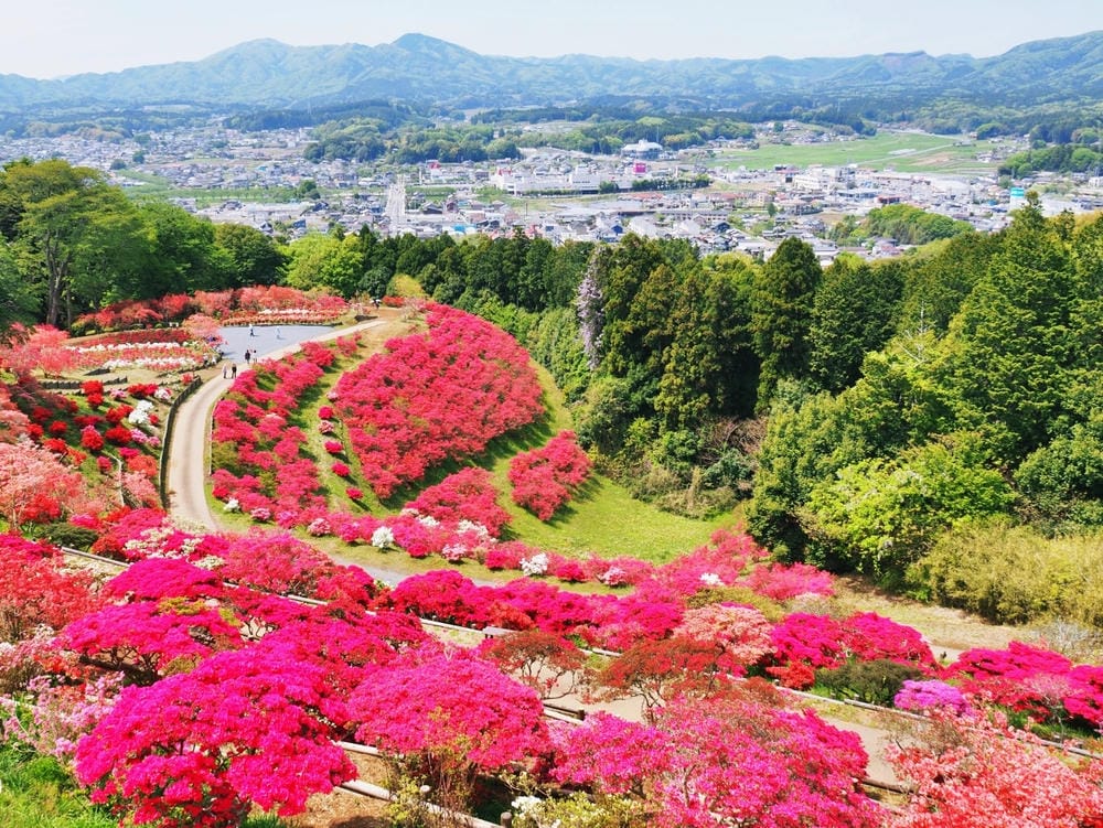 【茨城縣】五天四夜自由行！走訪3條經典花田、心靈水鄉、笠間旅