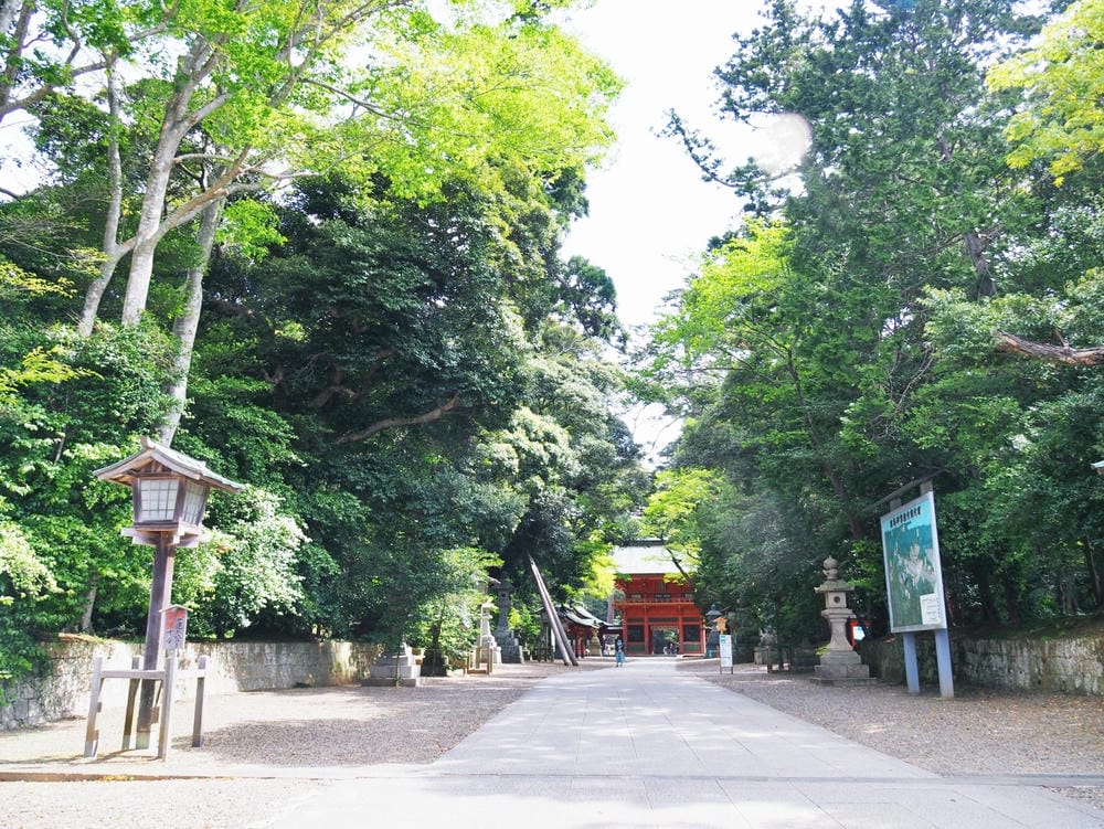 【茨城縣】五天四夜自由行！走訪3條經典花田、心靈水鄉、笠間旅