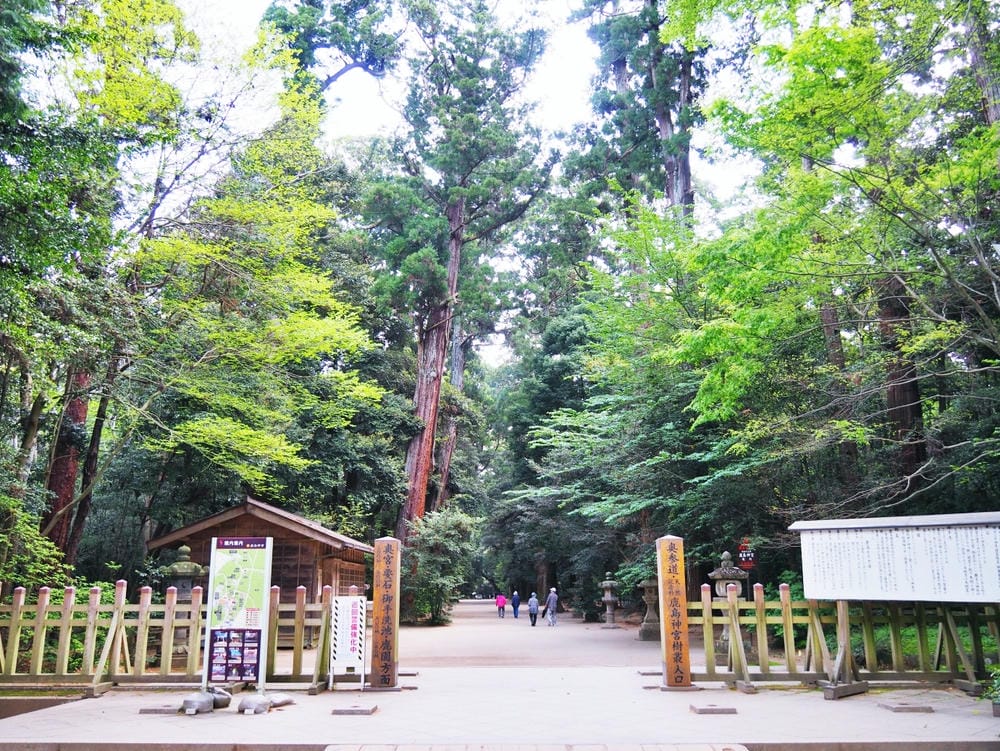【茨城縣】五天四夜自由行！走訪3條經典花田、心靈水鄉、笠間旅