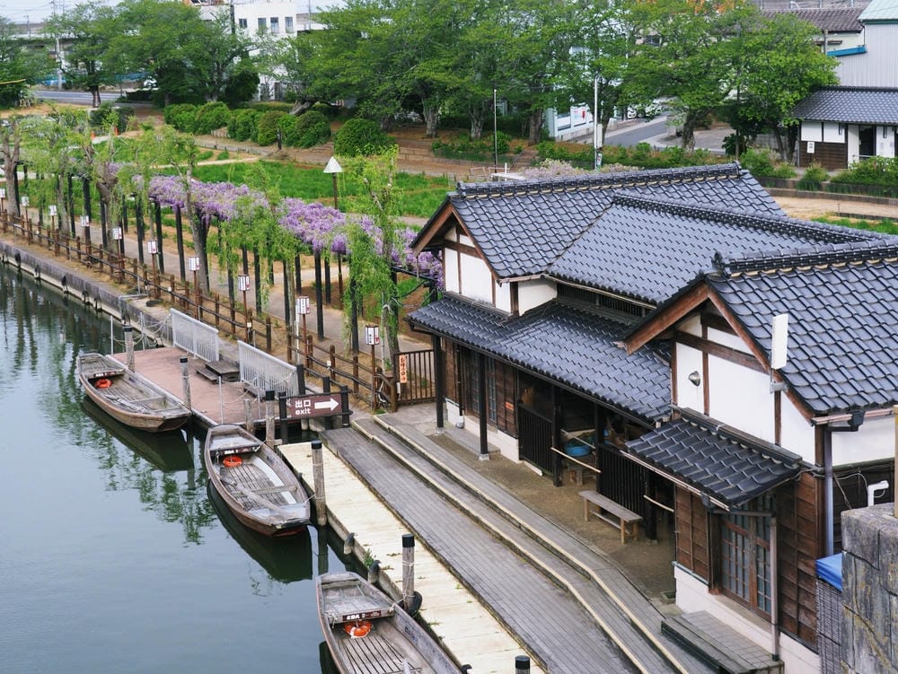 【茨城縣】五天四夜自由行！走訪3條經典花田、心靈水鄉、笠間旅