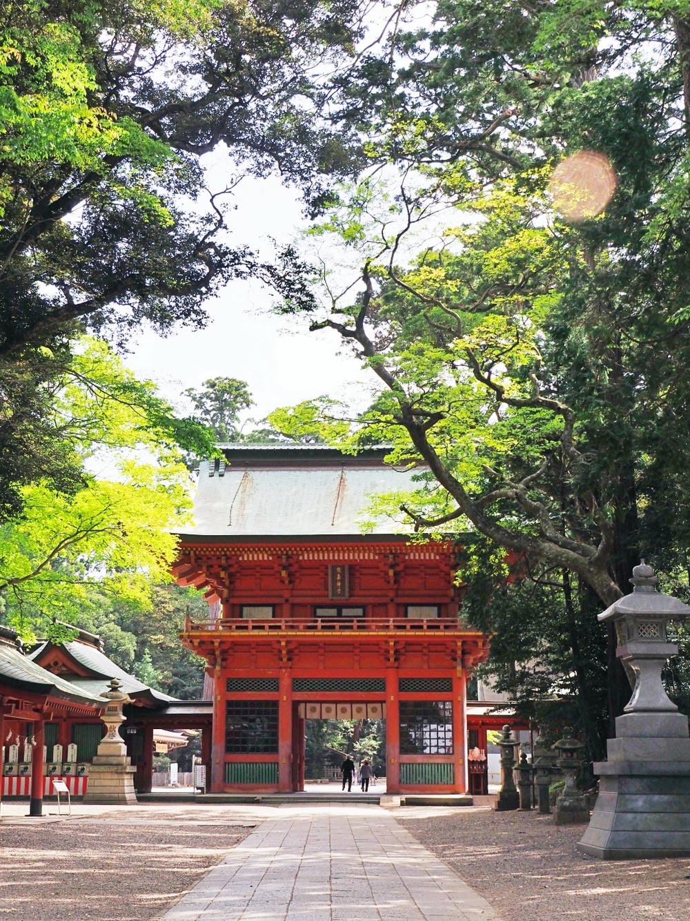 【茨城縣】五天四夜自由行！走訪3條經典花田、心靈水鄉、笠間旅