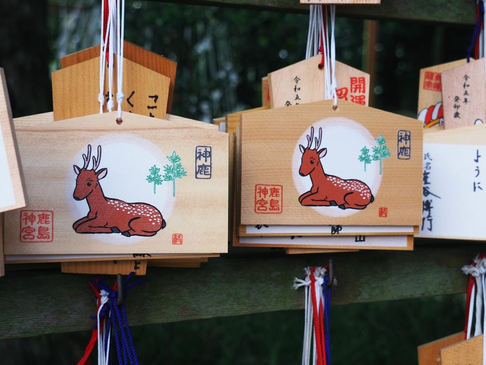 【茨城縣】五天四夜自由行！走訪3條經典花田、心靈水鄉、笠間旅