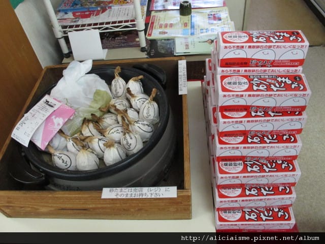 【鳥取縣|鳥取砂丘】日本唯一。眺望日本海,在隈研吾的高濱咖啡 【鳥取縣|鳥取砂丘】日本唯一。眺望日本海,在隈研吾的高濱咖啡