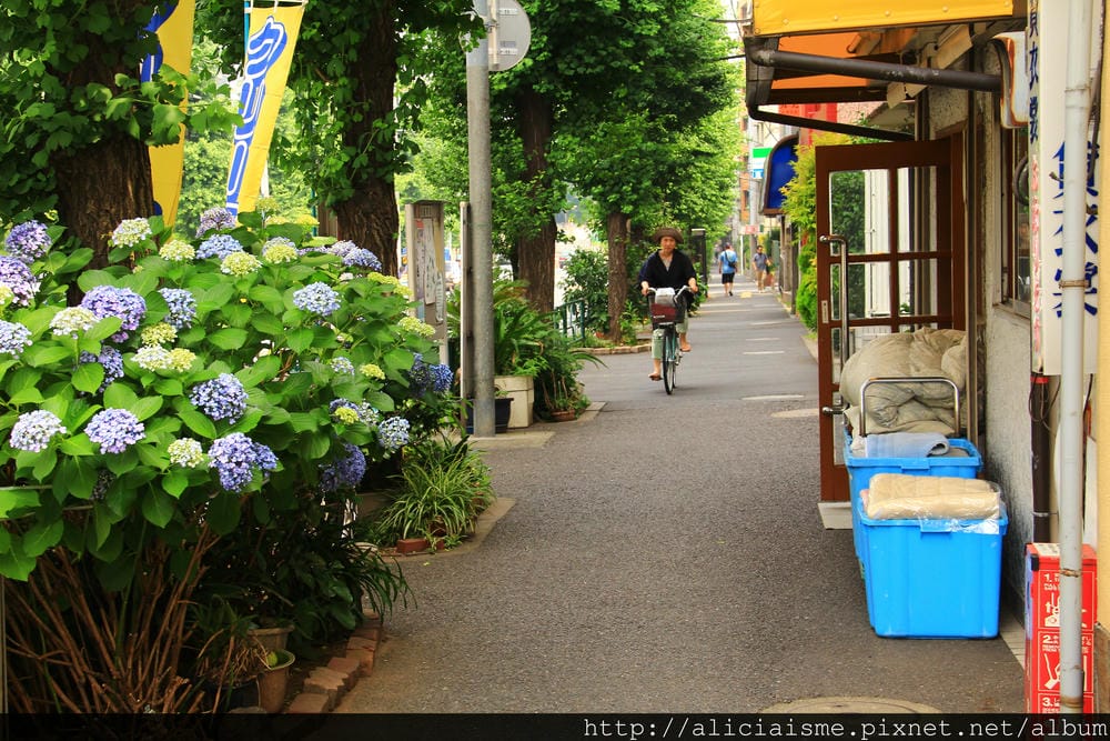 【東京】白山神社：都內最美紫陽花開名所V.S.牙刷供養