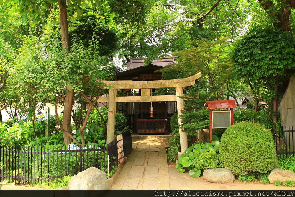 【東京】白山神社：都內最美紫陽花開名所V.S.牙刷供養