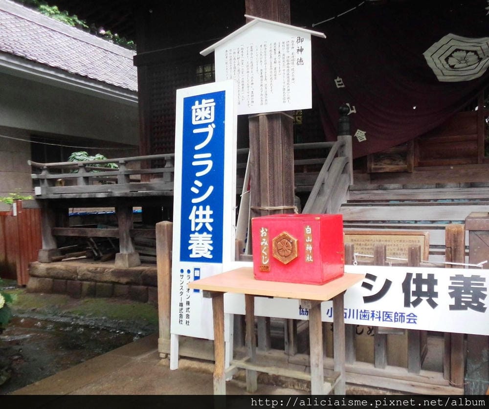 【東京】白山神社：都內最美紫陽花開名所V.S.牙刷供養
