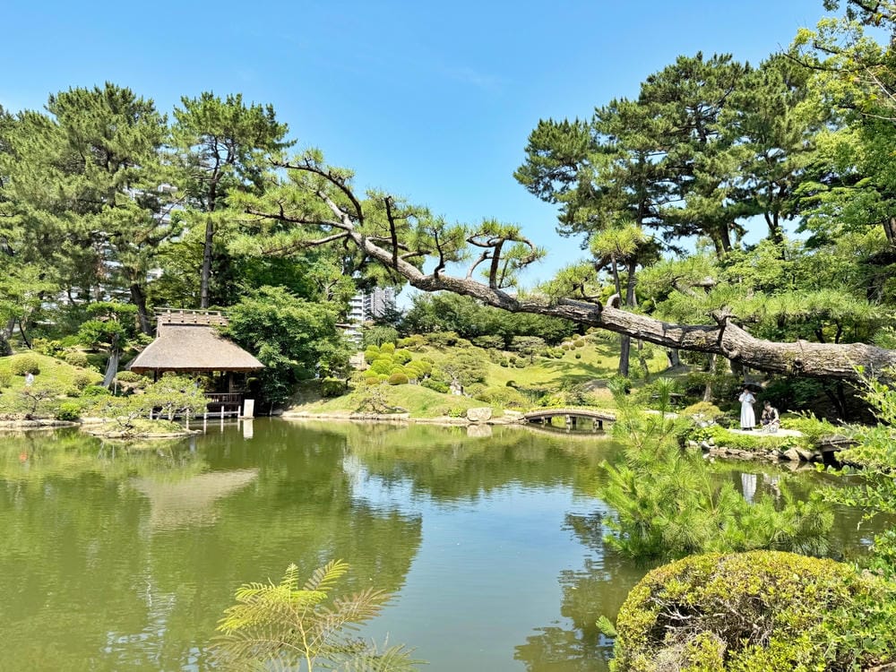 【廣島】漫步廣島城、縮景園，走進流動的山水畫，跨虹橋、清風亭