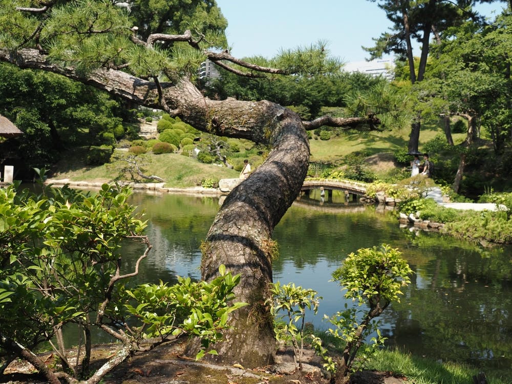 【廣島】漫步廣島城、縮景園，走進流動的山水畫，跨虹橋、清風亭