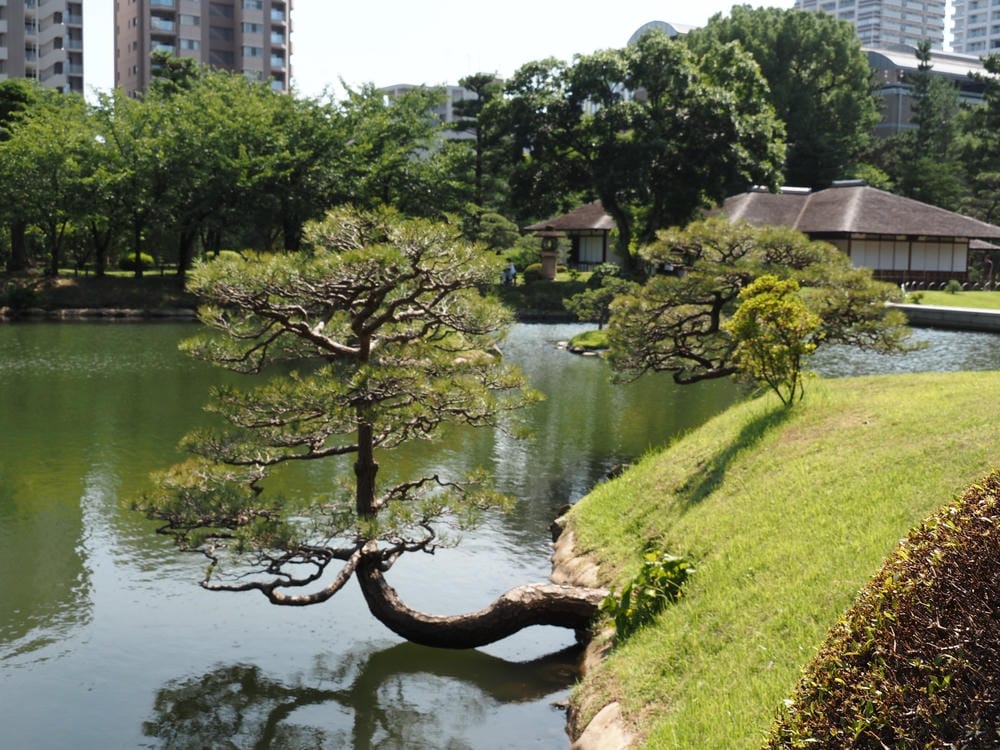 【廣島】漫步廣島城、縮景園，走進流動的山水畫，跨虹橋、清風亭
