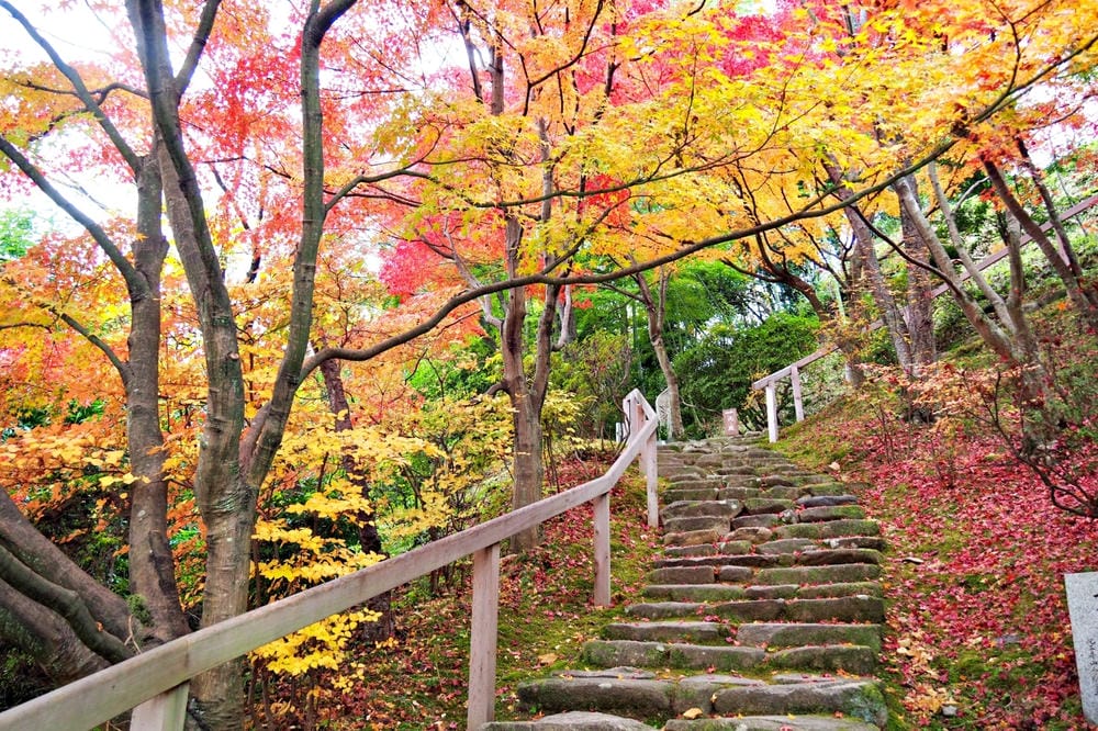 【廣島縣】神勝寺、洸庭-禪與庭的美術館:建築大師藤森照信,名 【廣島縣】神勝寺、洸庭-禪與庭的美術館:建築大師藤森照信,名