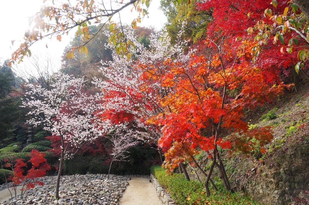【廣島縣】神勝寺、洸庭-禪與庭的美術館:建築大師藤森照信,名 【廣島縣】神勝寺、洸庭-禪與庭的美術館:建築大師藤森照信,名