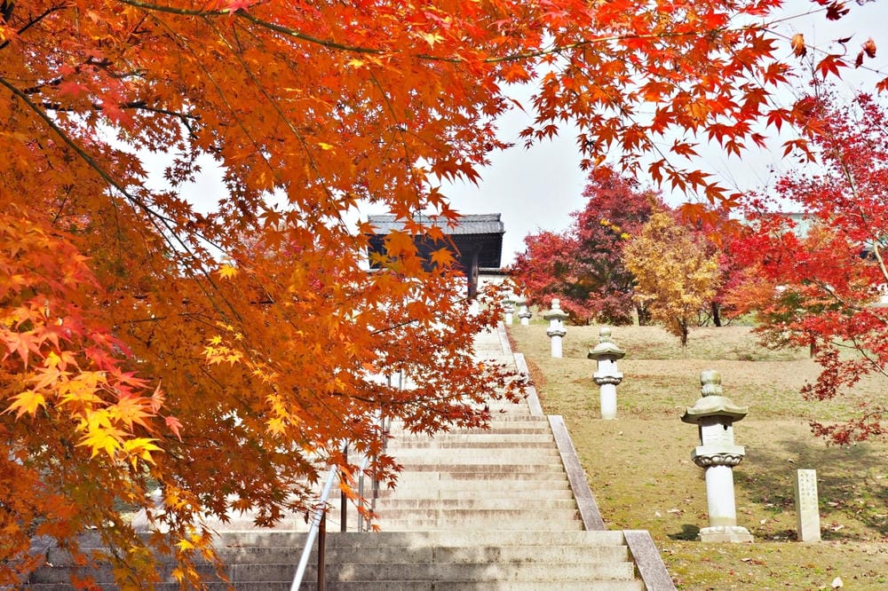 【廣島縣】神勝寺、洸庭-禪與庭的美術館:建築大師藤森照信,名 【廣島縣】神勝寺、洸庭-禪與庭的美術館:建築大師藤森照信,名