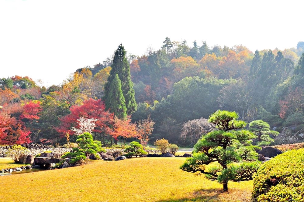 【廣島縣】神勝寺、洸庭-禪與庭的美術館:建築大師藤森照信,名 【廣島縣】神勝寺、洸庭-禪與庭的美術館:建築大師藤森照信,名