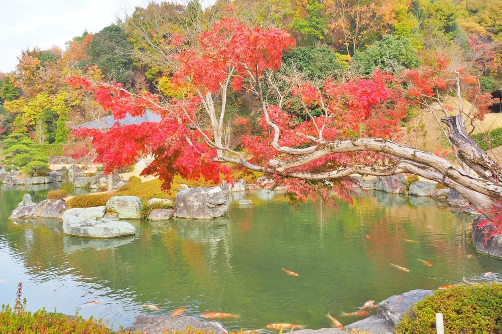 【廣島縣】神勝寺、洸庭-禪與庭的美術館:建築大師藤森照信,名 【廣島縣】神勝寺、洸庭-禪與庭的美術館:建築大師藤森照信,名